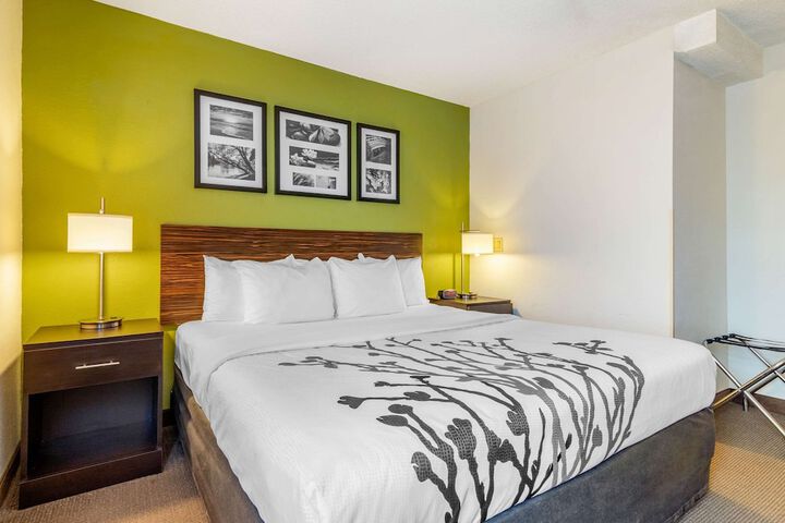 1 King Bed (7 of 12)