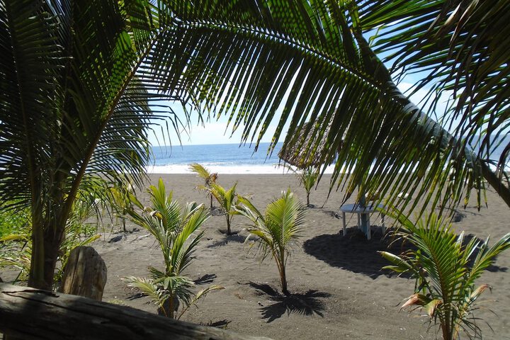 Beach 201 of 228