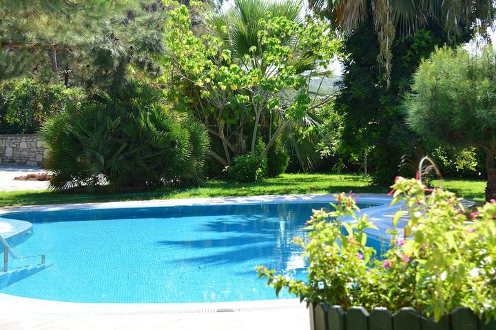 Pool 82 of 135