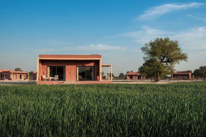 Mharo Khet