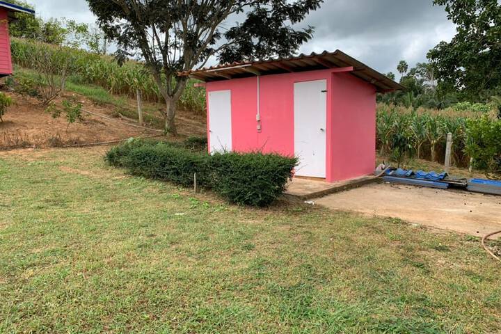 Property Grounds 22 of 26