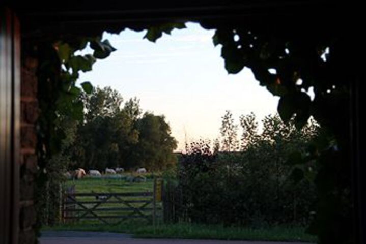 Property Grounds 17 of 17