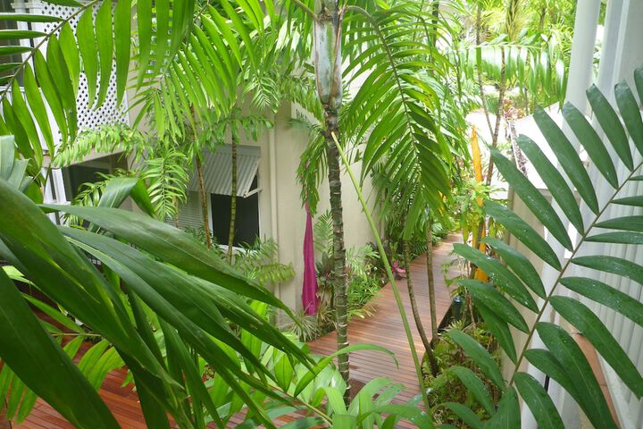 Garden view