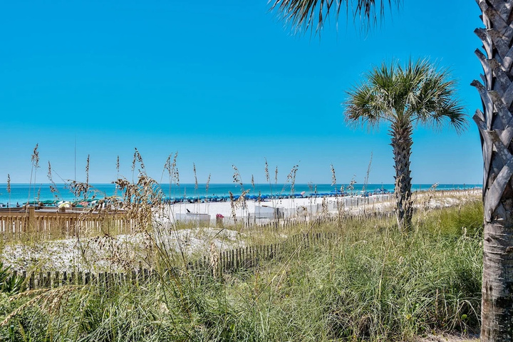 Beach 16 of 29