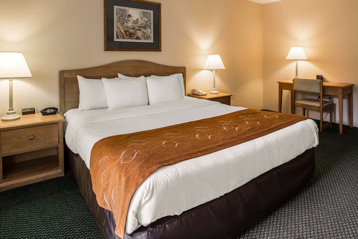 2 Queen Beds Studio Suite (3 of 8)