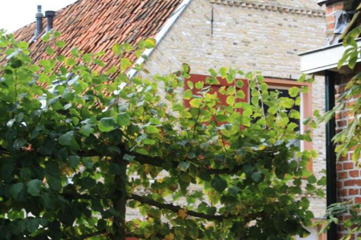 General 5 of 35