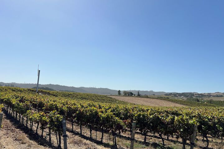 Winery