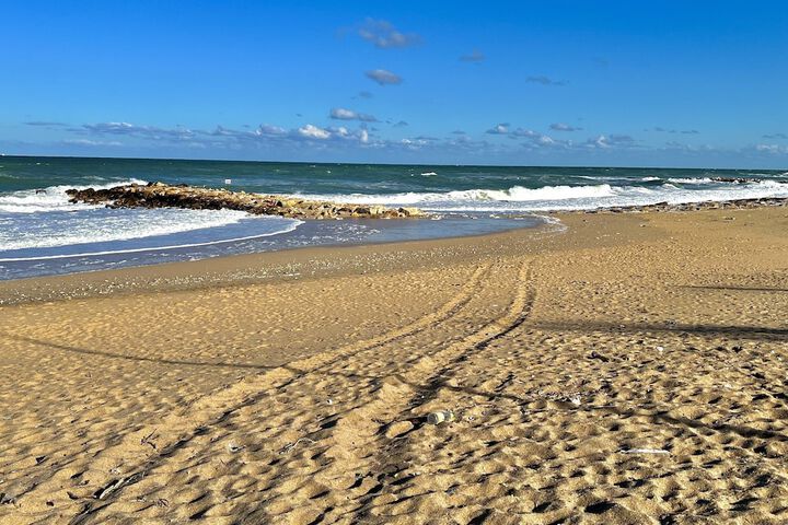Beach 66 of 72