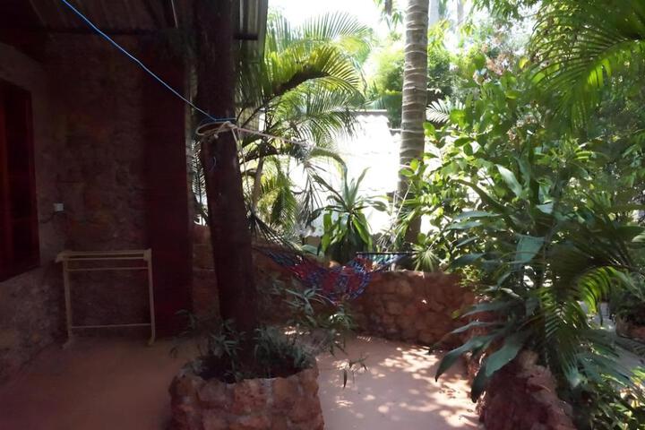 Photo 8