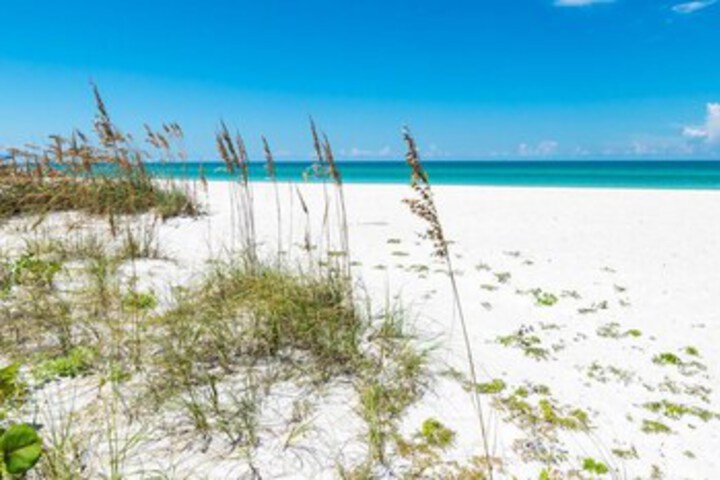 Beach 20 of 59