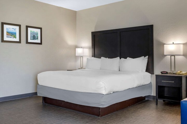 1 King Bed (11 of 27)