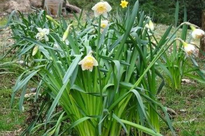 Hotel Exterior 9 of 36