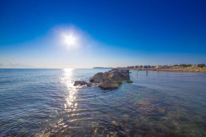 General 30 of 39