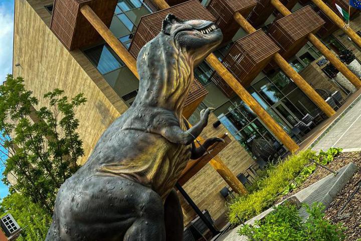 Image of Pangea Hotel