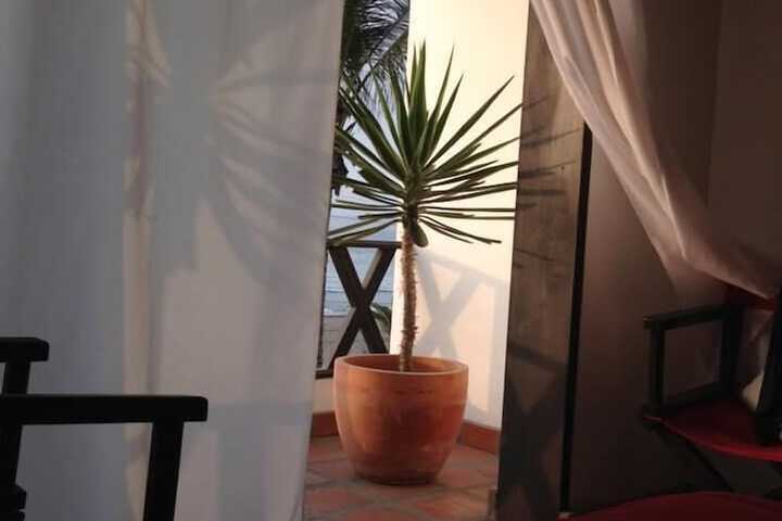 Terrace/Patio 10 of 13
