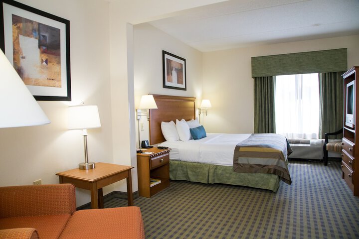 1 King Bed Mobility Accessible (8 of 14)