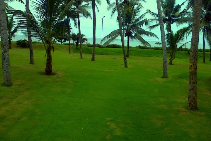 Beach 77 of 81