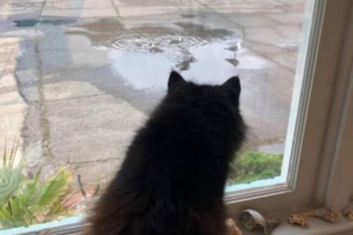 Hotel Interior 6 of 113