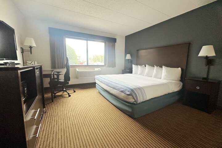 1 King Bed Mobility Accessible (34 of 40)