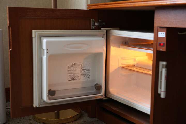 Mini-refrigerator