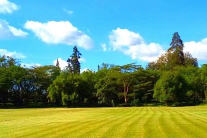 Property Grounds 18 of 21