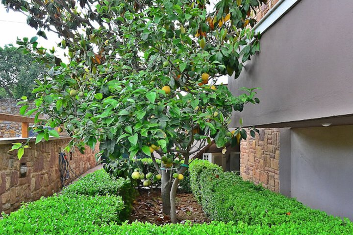 Hotel Exterior 45 of 54