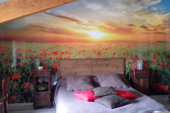 Room 3 of 58