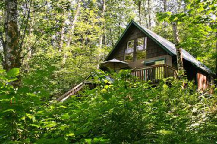 Huckleberry Hideout Cabin with Hot Tub in Gold Bar, WA