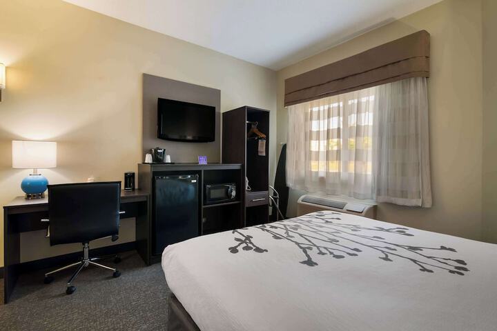 1 Queen Bed (12 of 13)