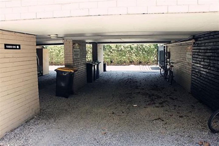Property Grounds 18 of 19