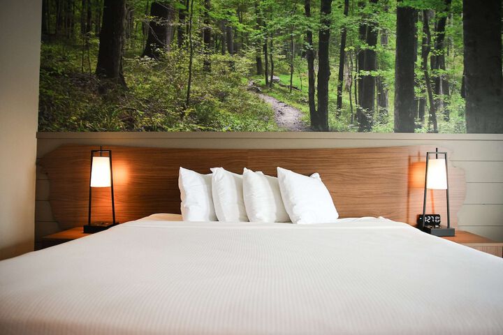 1 King Bed Theme Room Work Desk Coffee Maker Iron and Ironing Board Walk in Shower (7 of 9)