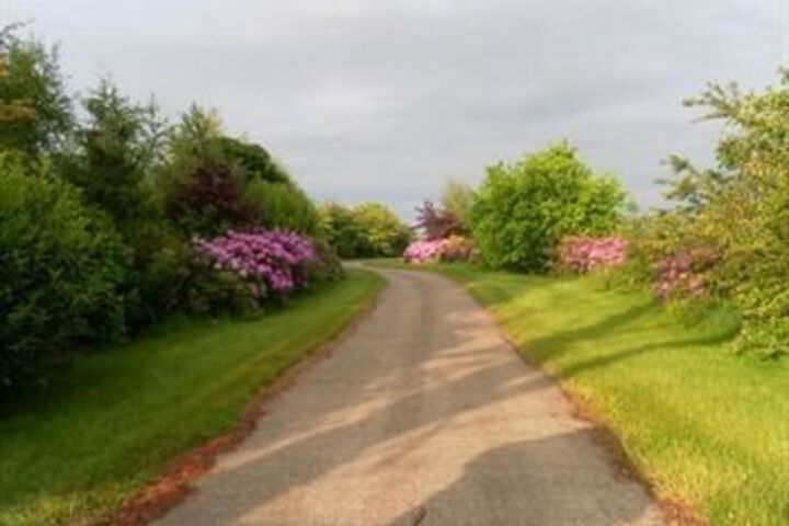 Property Grounds 19 of 25