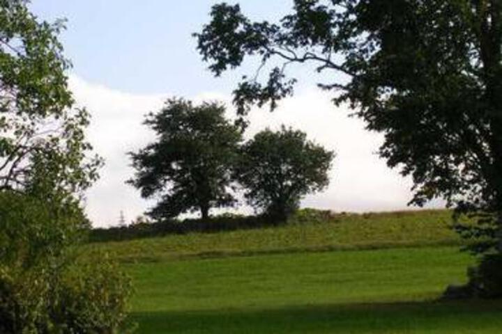 Biobauernhof Mayerhofer