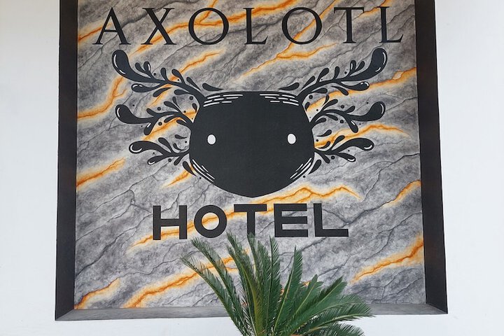 Hotel 33 of 36