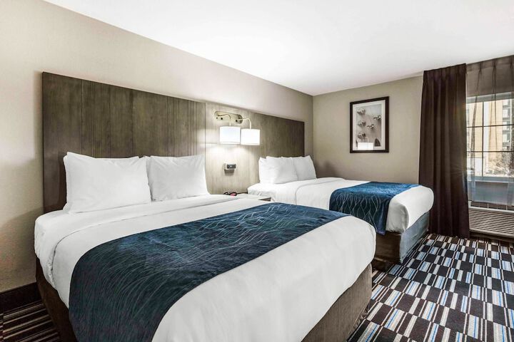 2 Queen Beds (6 of 9)