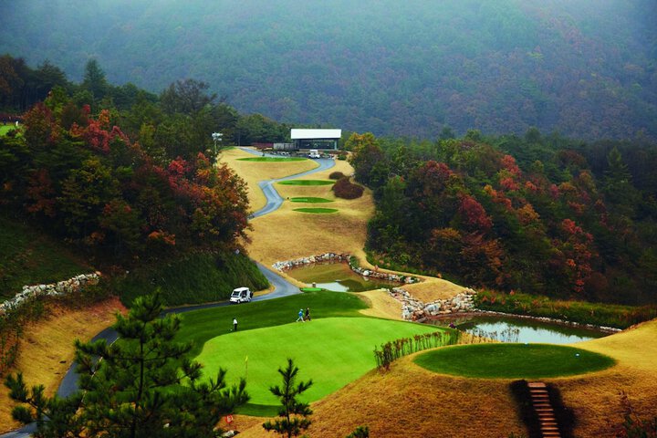 Golf 25 of 55