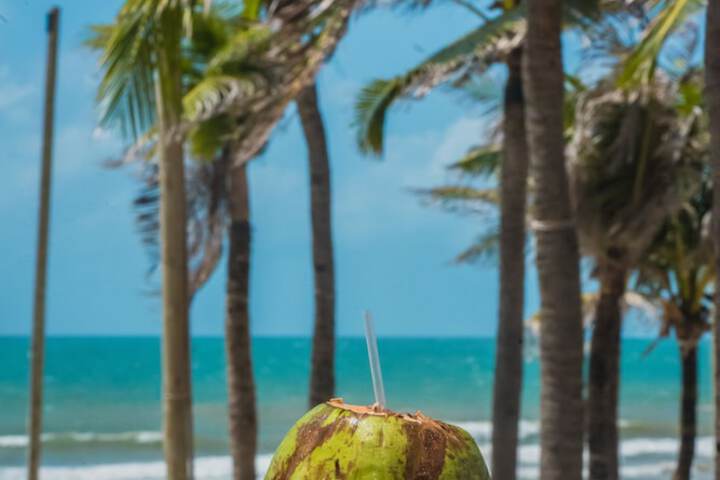 Beach 100 of 102