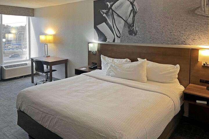 1 King Bed (3 of 7)