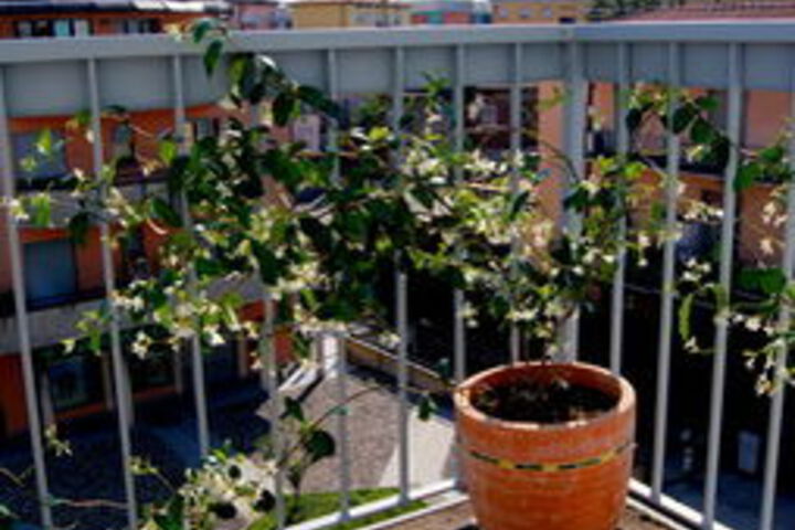Terrace/Patio 23 of 23