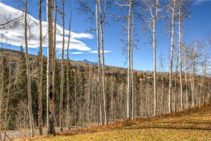 Property Grounds 18 of 29