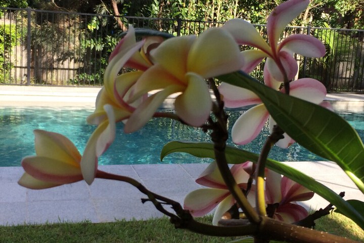 Pool 38 of 43