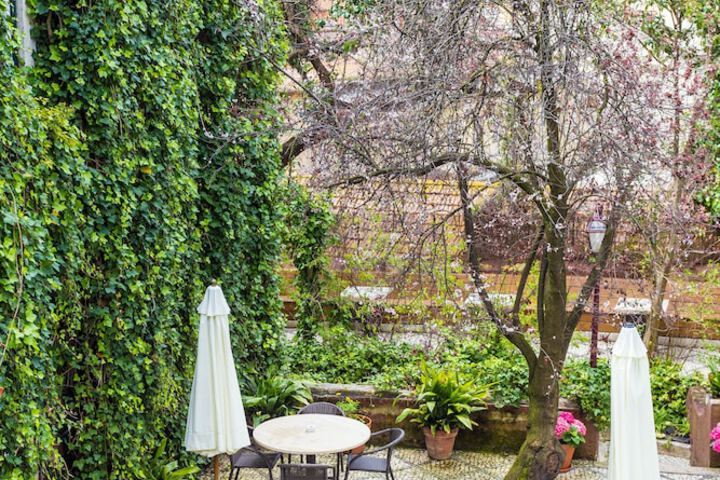 Terrace/Patio 76 of 81
