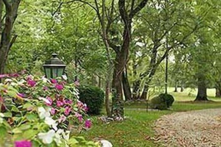 Property Grounds 13 of 16