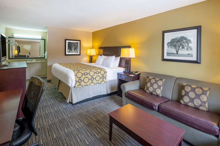 1 King Bed (3 of 14)