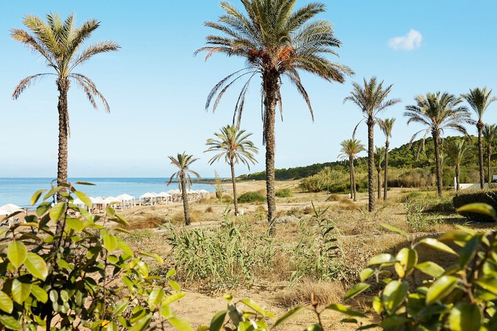 Beach 196 of 243