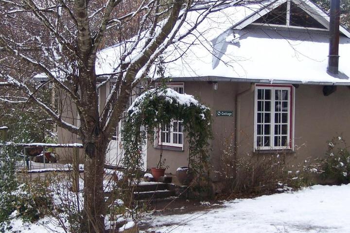 Photo 15