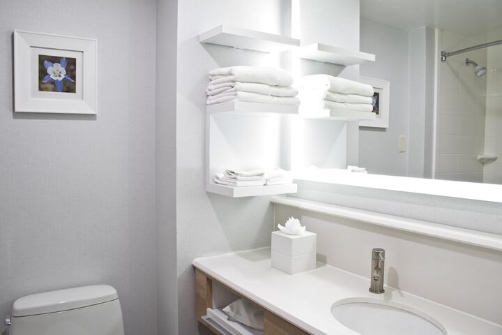 Bathroom Interior Photo