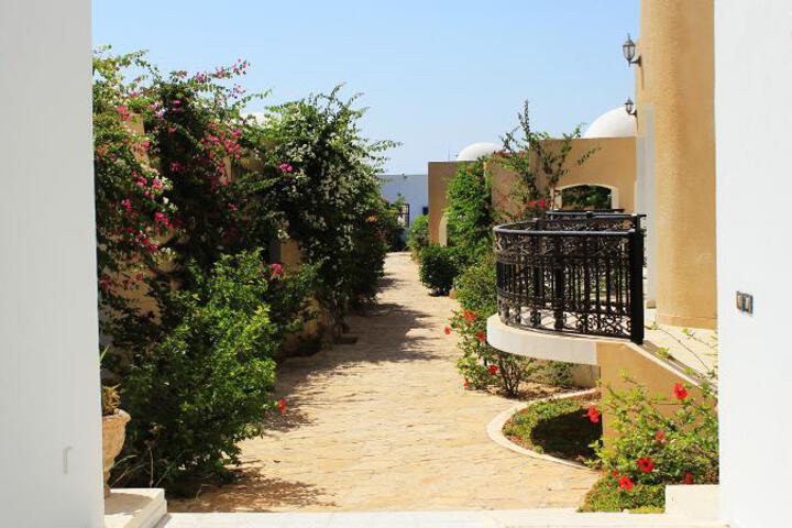 Photo of HOTEL CERCINA
