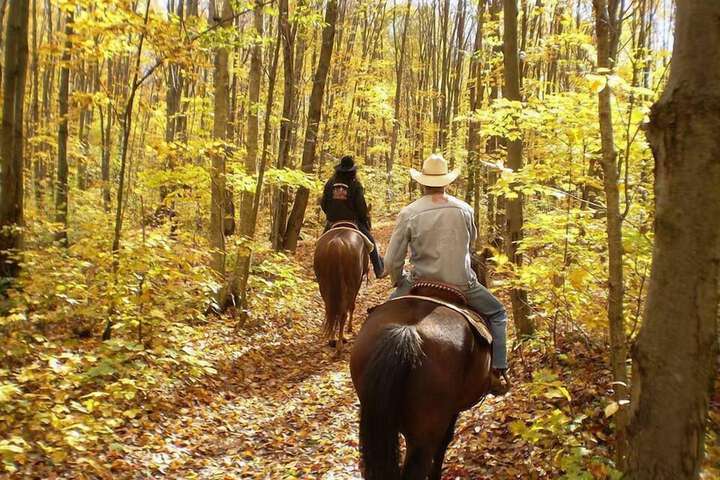 Horseback riding