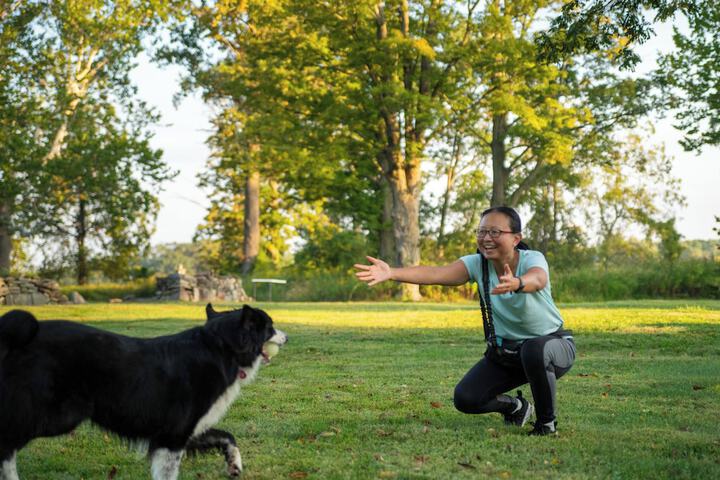 Pet Friendly 70 of 111